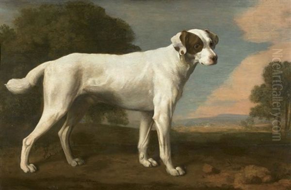 Portrait Du Chien Blanc Du Vicomte Gormanston - view 1