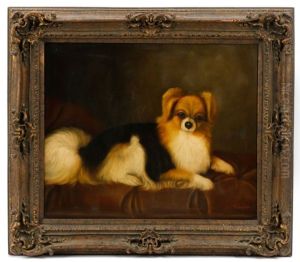 Portrait Of Black And Tan Pomeranian