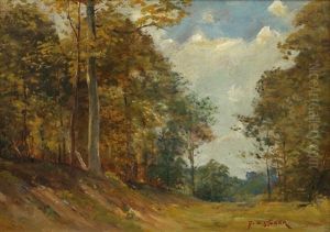 Trees In A Landscape