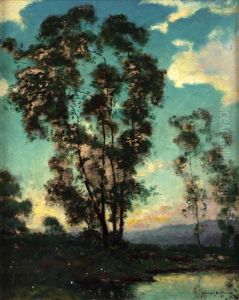 Late Afternoon Landscape With Reflective Pond And Tall Trees