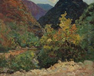 Trees In A Landscape