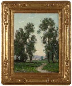 California Landscape With City In Background by Dedrick B. Stuber