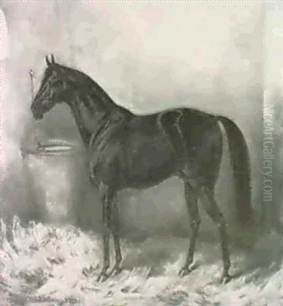 Rappe In Stall - view 1