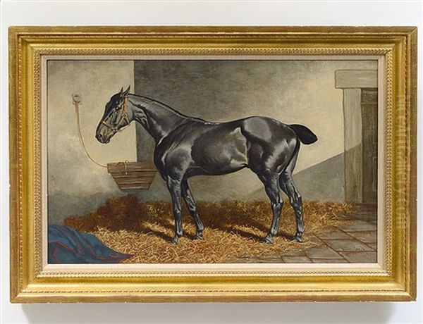 Grey Hunter In A Barn - view 1