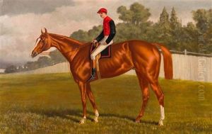 Equestrian Portrait Of Bushranger