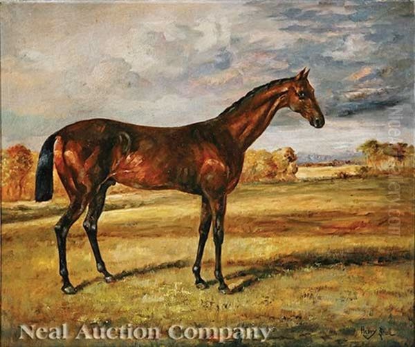 An Arabian Thoroughbred Racehorse - view 1