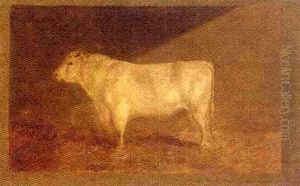 "xii Duke Of York," A Prize Bull (study) by John Sturgess
