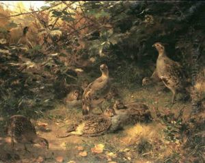 Partridges In A Thicket by George Sturm
