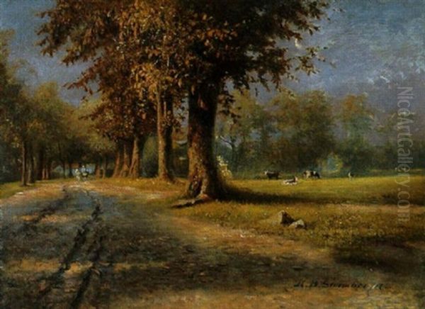 Alte Allee Bei Danzig In Der Herbstabendsonne - view 1