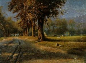 Alte Allee Bei Danzig In Der Herbstabendsonne