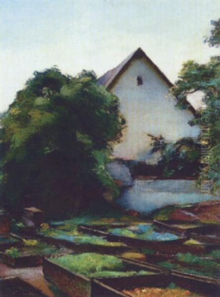 Blick In Eine Gartnerei - view 1