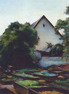 Blick In Eine Gartnerei