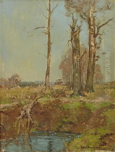 Trees By A Pond - view 1
