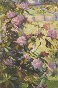 Rhododendron by Helen Sturtevant