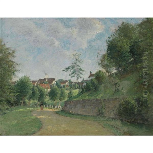 Sonniger Weg Bei Schaffhausen - view 1