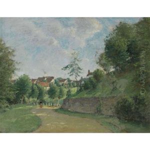 Sonniger Weg Bei Schaffhausen