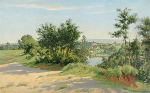 Blick Auf Rheinau