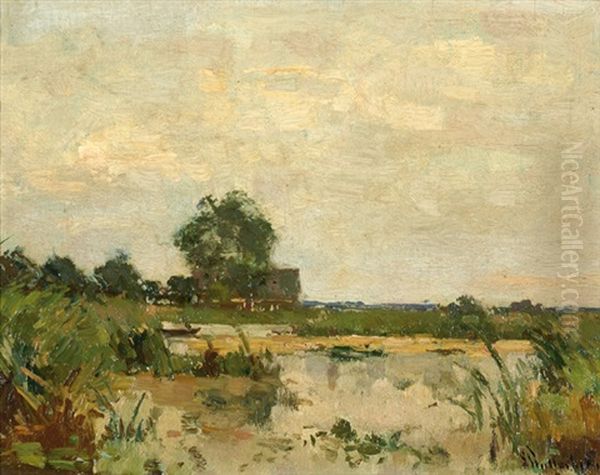 View Of Water And Reeds With A House In The Background - view 1