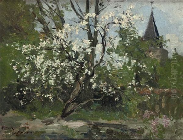 Appelbloesem Met Kerktoren Van Blaricum - view 1