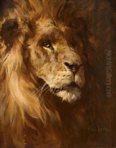 Tete De Lion