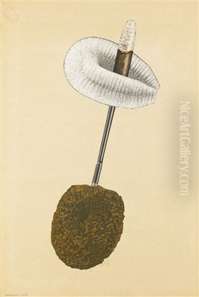 Untitled (from The Portable Cabinet) (stehovaci Kabinet) - view 1