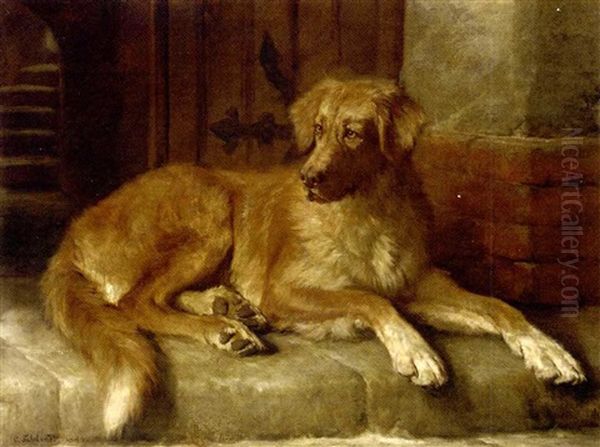 Waiting For Master - A Golden Retriever - view 1