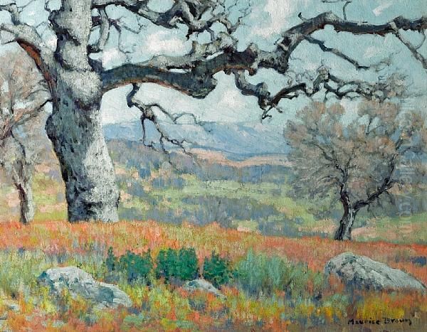 The Oak - view 1