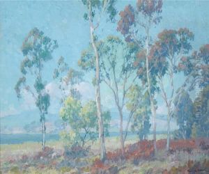 Back Bay, San Diego by Maurice Braun