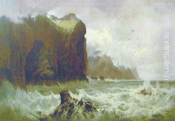 Upprord Sjo Vid Klippig Kust - view 1