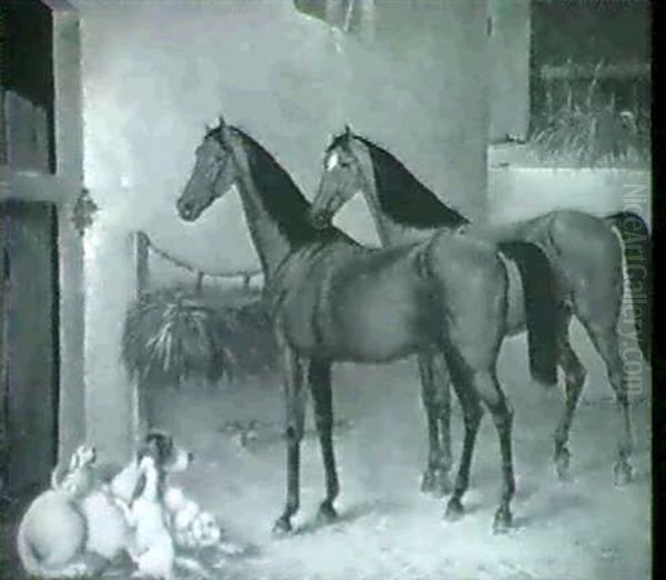 Good Friends In A Stable - view 1