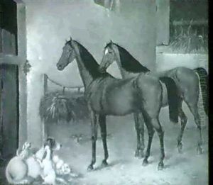 Good Friends In A Stable by Alick D. Summers