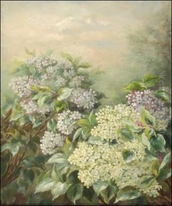 Syreeneja by Fanny Sundblad