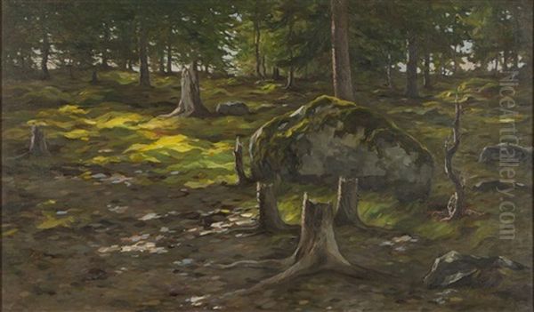 Untitled (forest Landscape) - view 1