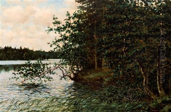 Paisaje - view 1