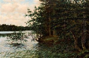Paisaje by Thure Sundell