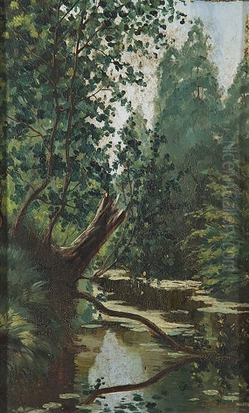 River - view 1