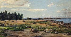 View From A Shore by Thure Sundell