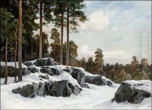 Aurinkoinen Talvipaiva by Thure Sundell
