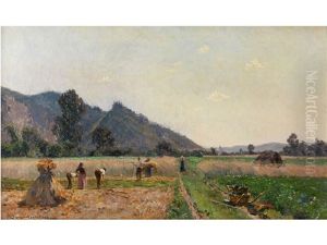 Bei Der Feldarbeit