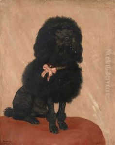 Portrait De Caniche Noir