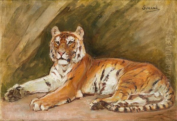 Liegender Tiger - view 1