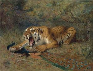 Le Tigre Et Le Paon