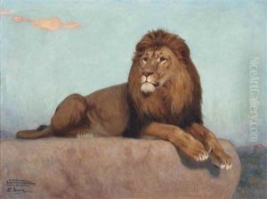 A Lion