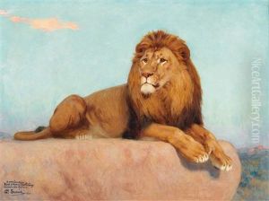 Lion Resting by Gustave Surand
