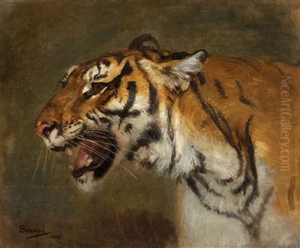 Tete De Tigre De Cochinchine - view 1