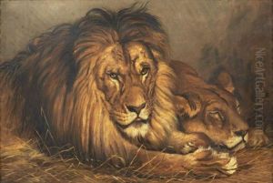 Couple De Lions