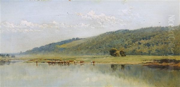 A Summer Morning - view 1