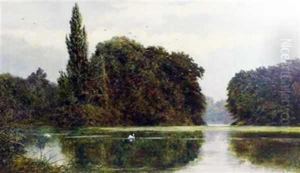The Swans Lake, Kew Gardens - view 1