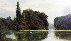 The Swans Lake, Kew Gardens by John Surtees
