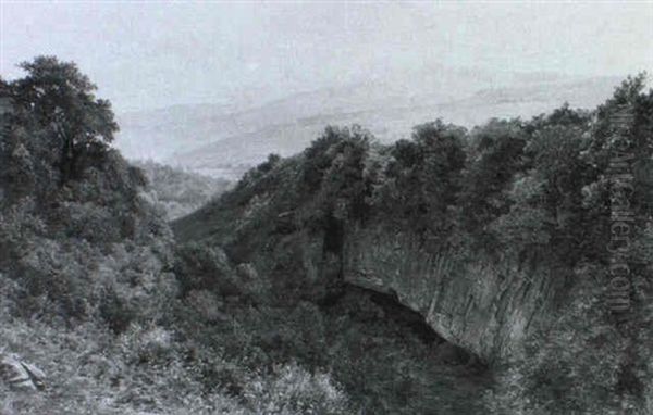 Sommerlandschaft In Sud-wales - view 1